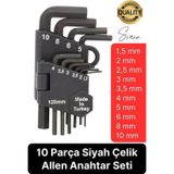 Premium 10 Parça Siyah Çelik 120 mm Allen Anahtar Seti Alyan Takımı Profesyonel Manuel Uzun Tamir
