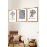 Premium Ahşap Çerçeveli 3lü Modern İskandinav Bohem Tarz Dekoratif Ev Dekorasyonu Tablo Seti-SET6