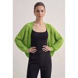 Premium Ajurlu İnce Triko Bolero Hırka - Yeşil