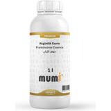 Premium Akgünlük Mum Esansı 41983 1 Litre - 1 Adet
