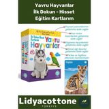Premium Ince Motor Gelişimi Görsel Algı Eğlenceli Eğitim Kartları Dokun Hisset Tanı Yavru Hayvanlar - Renk