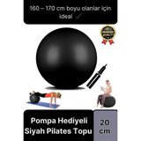 Premium Mini Gymball 20CM Jimnastik Denge Fitness Spor Şişirme Pompası Hediyeli Siyah Pilates Topu
