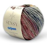 Premium Orijeans Renkli Ebruli Amigurumi Ipliği Punch (Panç) Baby Soft Cotton 50 gr Çok Renkli Jeans Ip Örgü Ipi - Poly