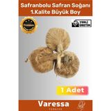 Premium Özel Dikime Hazır Yerli Üretim Büyük Boy 1. Kalite Safranbolu Safran Bitkisi Soğanı 2 Adet