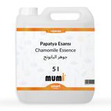 Premium Papatya Mum Esansı 5 litre