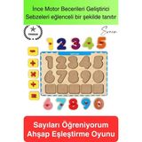 Premium Sayılar Ahşap Bul Tak Puzzle Eğitici Oyuncak Zeka Geliştirici Tutmalı Motor Becerisi Gelişim - diğer