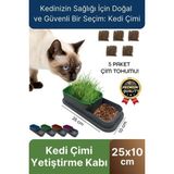 Premium Seri Hidroponik Topraksız Doğal 5 Adet Tohum Hediyeli Kedi Çimi Yetiştirme Kabı 25 x 10 cm