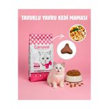 Premium Tavuklu Yavru Kedi Maması 15 kg