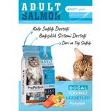 Premium Yetişkin Somonlu Portakallı Kedi Maması 2 Kg