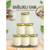 PremiumPort 6'lı Cam Bebek Mama Saklama Kabı, 210 Cc, Gold Kapaklı, Hacamat Kavanozu - Altın - Seçenek 1