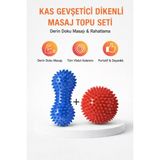 PremiumPort Dikenli Masaj Topu Seti, Derin Doku ve Nokta Terapisi, Spor ve Fizik Tedavi - Açık Beyaz - Gri
