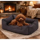 Premiumtech Yumuşak ve Konforlu 60X45 Toy Poodle Yatak, Gri, Rahat Uyku Sağlar, Hafif ve Taşınabilir, Kolay Temizlenir Yüzey, Yastık Yatak, 17 cm Yükseklik, Uzun Boy, Tr Menşei - Yastık Yatak / Gri / Uzun