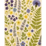 Pressed Wildflower Journal: Wide Ruled Composition Notebook: 100 Pages | 7.5 x 9.25" Botanical Cover with Purple, Blue & Yellow Flowers