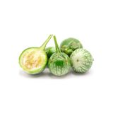 prestijiseed 10 Adet Mini Yeşil Patlıcan Tohumu Nadir Taylan Mini patlıcan Tohumu