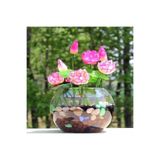 prestijiseed 10 Adet Tohum Nadir Pembe Uzak Doğu Kutsal Kase Lotus Çiçeği Tohumu Pembe Kase Lotus Tohumu