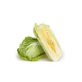 prestijiseed 50 Adet Çin Marulu Tohumu Çin Lahanası Tohumu Bok Choy Pak Choy