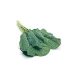 prestijiseed Eko Paket 250 Adet Kara Lahana Tohumu Karadeniz Lahana Tohumu