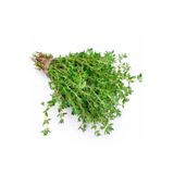 prestijiseed Süper Paket Kekik Tohumu 500 Adet Tohum