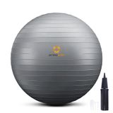 primasole Denge Stabilitesi için Yoga ve Egzersiz Topu Fitness Egzersiz Pilates Ev Ofis ve Spor Salonu Şişirme Pompası ile. (55 cm Gümüş Grisi) PSS91NH061A