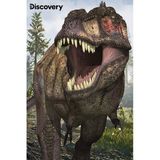 Prime 3D Discovery T-Rex ve Allosaurus Ikili Puzzle 200 Parça 102
