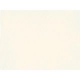 Prime Akademie Aquarell Yarım Tablet Sulu Boya 111 Opaque - -- - Option-1