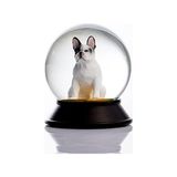 Prime Cam ve Reçine Altın Patiler Köpek French Bulldog (Beyaz) Kar Küresi Hediye