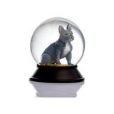 Prime Cam ve Reçine Altın Patiler Köpek French Bulldog (Gri) Kar Küresi Hediye
