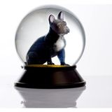 Prime Cam ve Reçine Altın Patiler Köpek French Bulldog (Siyah) Kar Küresi Hediye - 0,35 lt