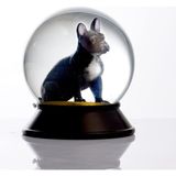 Prime Cam ve Reçine Altın Patiler Köpek French Bulldog (Siyah) Kar Küresi Hediye
