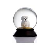 Prime Cam ve Reçine Altın Patiler Köpek Maltese Terrier Kar Küresi Hediye - 0,35 lt