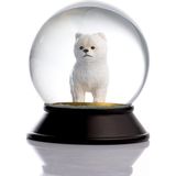 Prime Cam ve Reçine Altın Patiler Köpek Pomeranian Boo (Beyaz) Kar Küresi Hediye - 0,35 lt