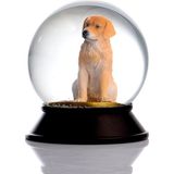 Prime Cam ve Reçine Altın Patiler Köpek Retriever Kar Küresi Hediye