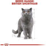 Prime Canin British Shorthair Adult Pouch Konserve Kedi Maması 85 gr - 0,01 gr