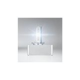 Prime D5S Xenarc Ampul 25W 4 Yıl Garantili (1 Adet) - 0,5 W - Altın
