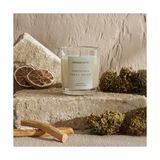 Prime Essentials Green Kokulu Mum - Option-1