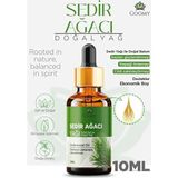Prime Gommy Sedir Ağacı YAĞI%100 Doğal Bitkisel Uçucu Yağ Cedarwood Oil 10ML - 001-Renkli - 100 x 100 cm