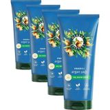 Prime Herbal Essences Onarıcı Argan Yağı Saç Bakım Kremi 250ML (4 Paketi) - Option-1