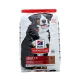 Prime Hill's Adult Large Büyük Irk Kuzu Etli Yetişkin Köpek Mamasi 14 kg - 0,01 gr