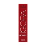 Prime Igora Saç Boyası 60ML-NO - 6.6 Koyu Kumral Kestane