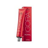 Prime Igora Saç Boyası Teknik Renkler 60ML-NO - 0.22 Turuncu Azaltıcı