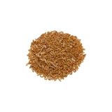 Prime Kurutulmuş Gammarus Kaplumbağa Yemi 10 gr - Option-1