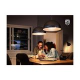 Prime LED CLASSIC120W G120 E27 Sarı Işık Glob Ww Dim Edilmez Ampul - 0,5 W - Altın