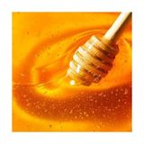 Prime Nuxe Reve De Miel Onarıcı Besleyici ve Koruyucu 50 ml El Kremi