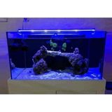 Prime Orionled Akvaryum LED Aydınlatma Mavi 30CM