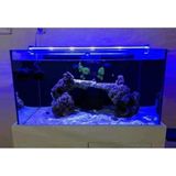 Prime Orionled Akvaryum LED Aydınlatma Mavi 50CM - Option-1