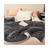 Prime Polar Battaniye Çift Taraflı Çift Kişilik 220X240 cm Polyester Mikrofiber - 2328M - 1 x 32 x 27 cm