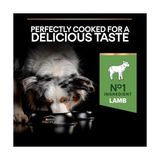 Prime Pro Plan Medium Adult Kuzu Etli Köpek Maması 14 kg - 0,01 gr