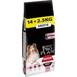 Prime Pro Plan Medium Somonlu Kuru Köpek Maması, Yetişkin, 14 kg + 2.5 kg Hediye - 0,01 gr