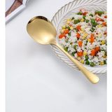Prime Profesyonel 21 cm Paslanmaz Çelik Servis Kaşığı – Yemek ve Salata Servisi Için - Option-1