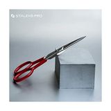 Prime Staleks Çok Amaçlı (Bıçak Uzunluğu 32 Mm) Pro Expert Se-30/1 - Profesyonel Kaş ve Kirpik Modelleme, Üst Dudak Saç Kesme, Bıyık ve Sakal Kırpma - Option-1